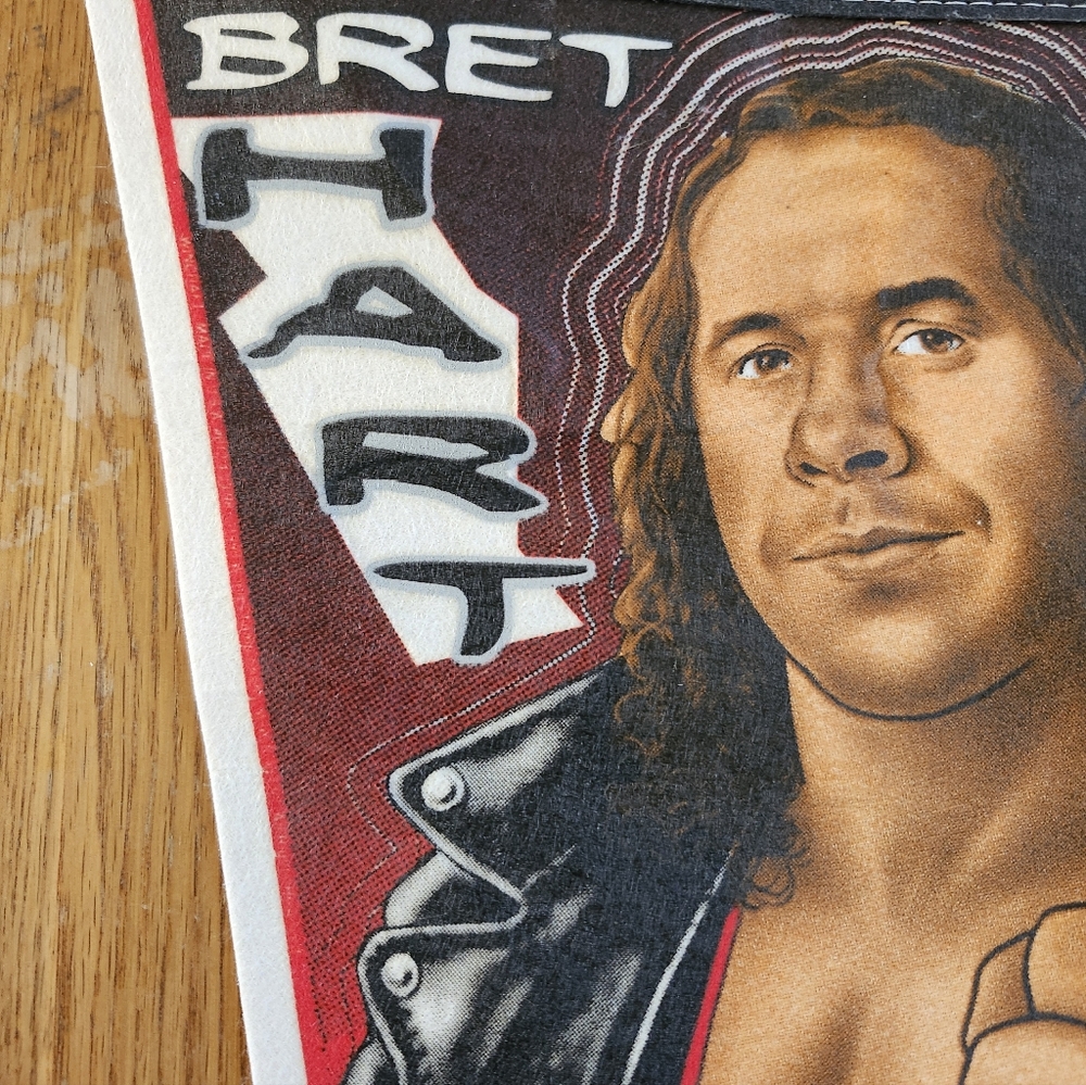 1996 Bret Hart Wrestling Pennant WCW NWO Windcraft - Picture 3 of 11
